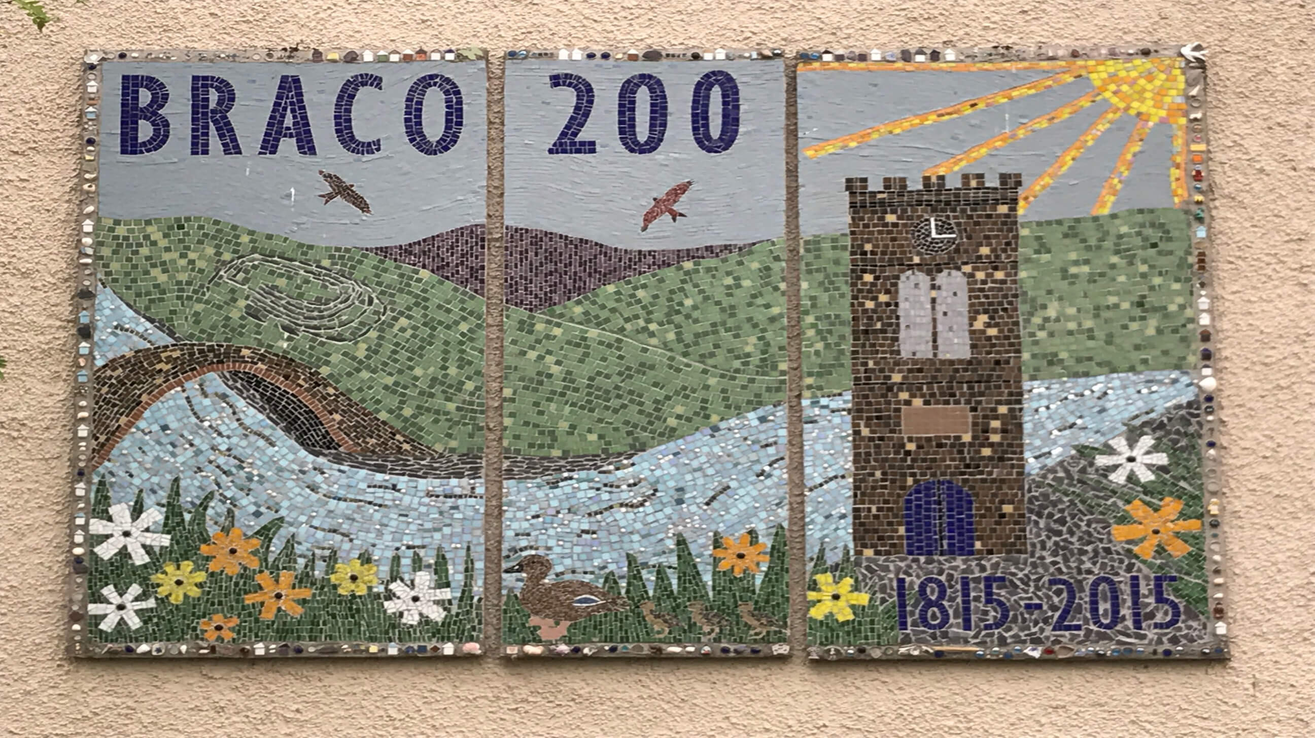 Braco 200 school mosaic